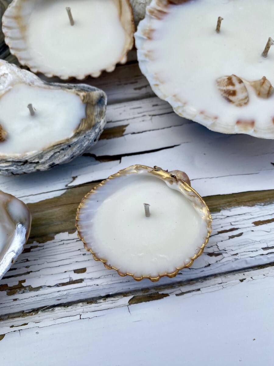 FRAGRANCED SEASHELL SOY CANDLES
