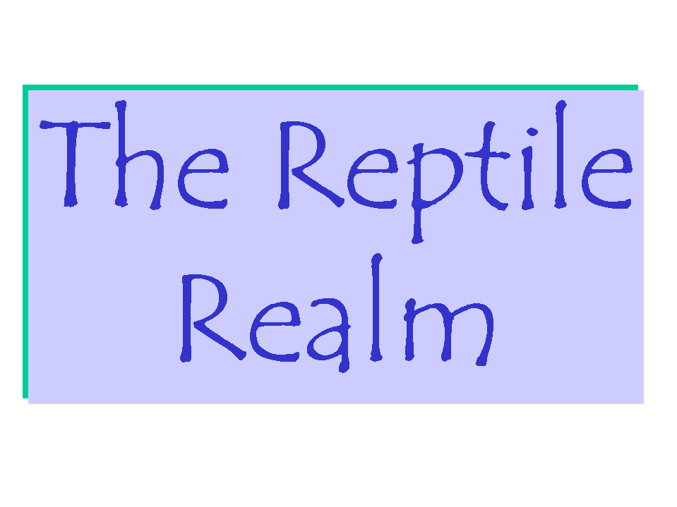 Reptile Realm Forms