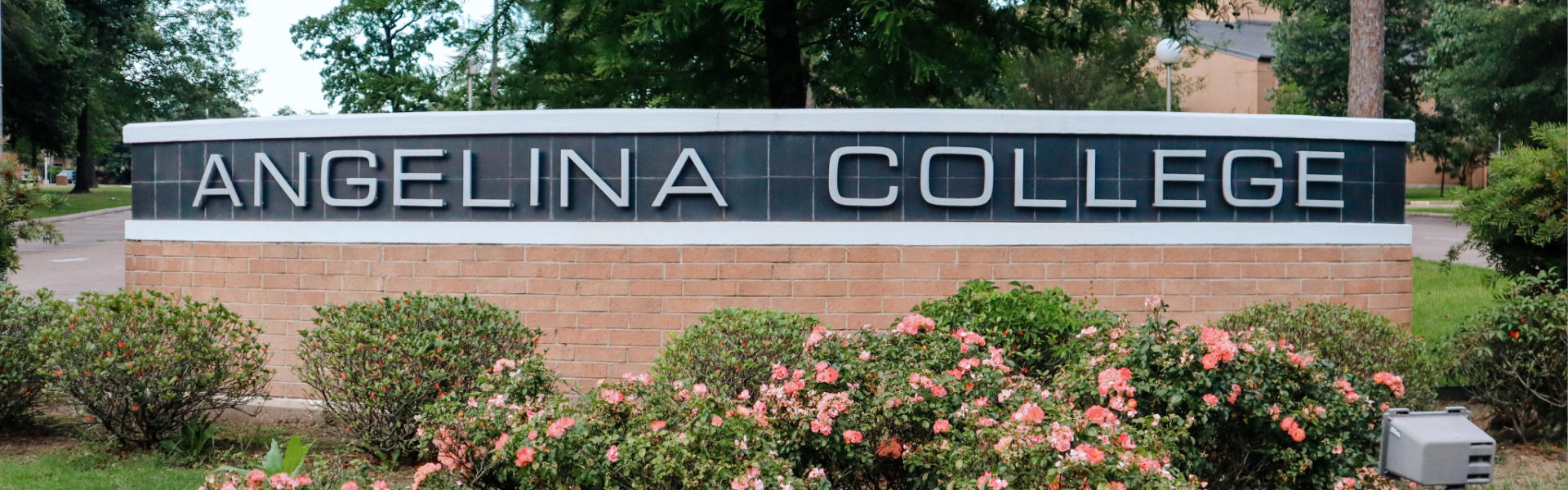 Academics Angelina College