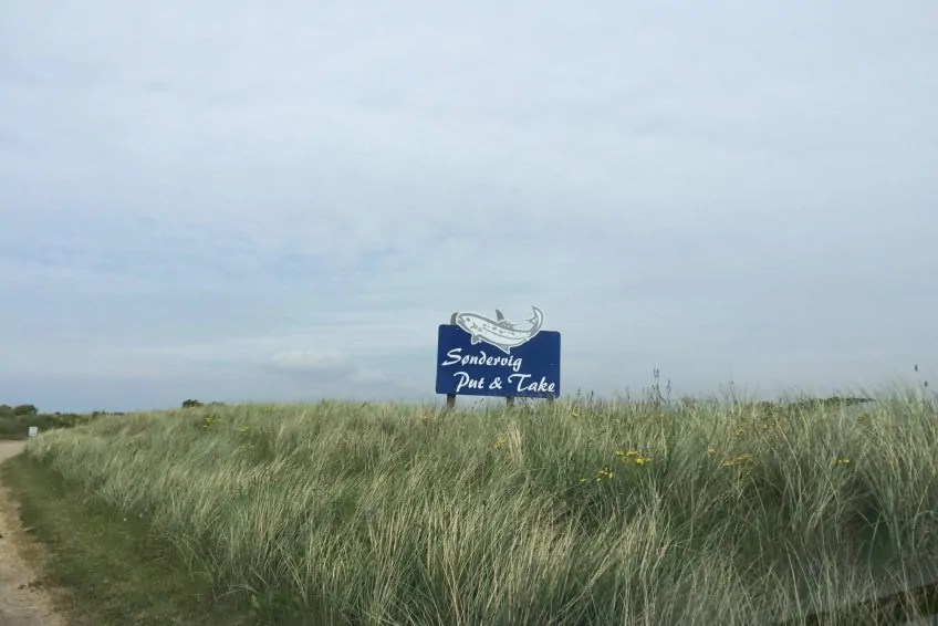 Søndervig Put and Take Forellen angeln in Sondervig