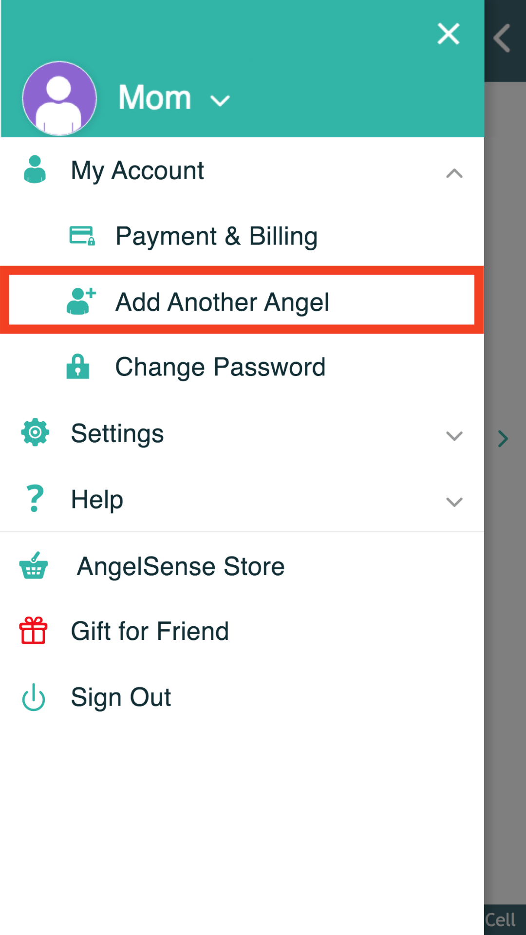 Ordering Multiple Subscriptions AngelSense