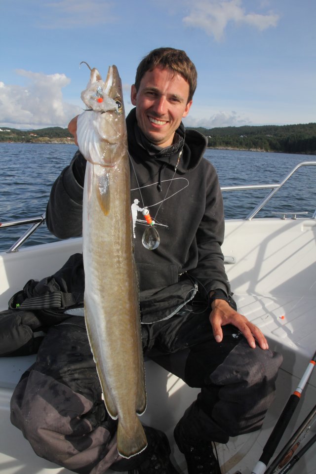 Førdespollen Fischvielfalt beim Angeln in Südnorwegen! Anglerboard