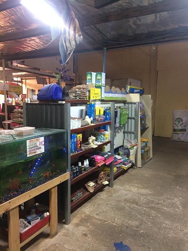 Aquarium Food & Accessories Angle Vale Seed & Fodder