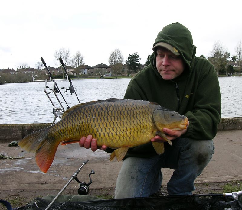irish carp, cork city carp, the lough in cork, terrys travels, carp