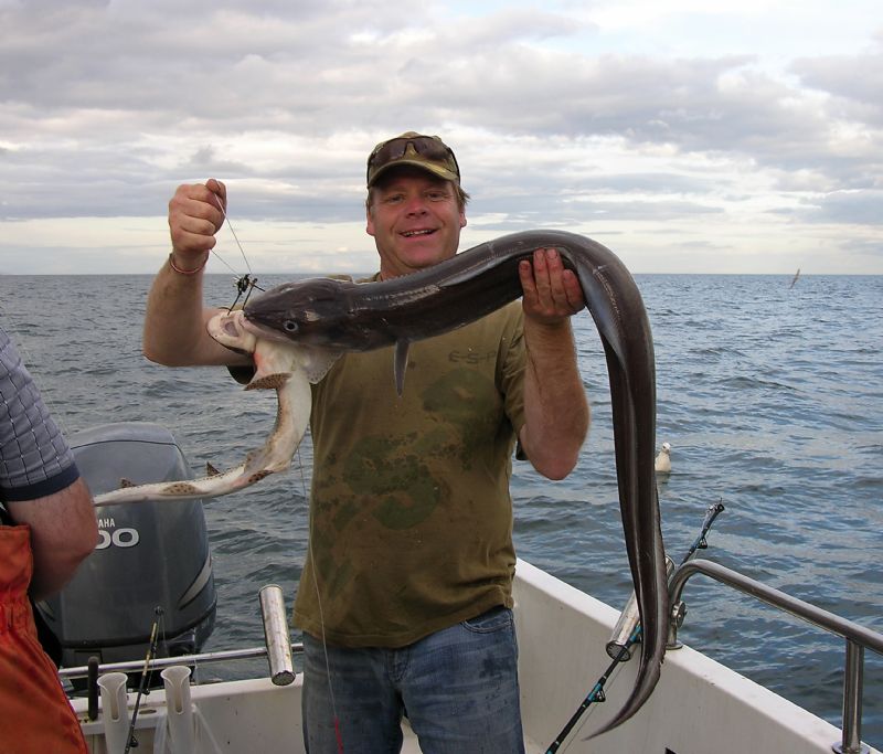 Fishing In Ireland Angling Ireland Salt Water Fish Conger Eel