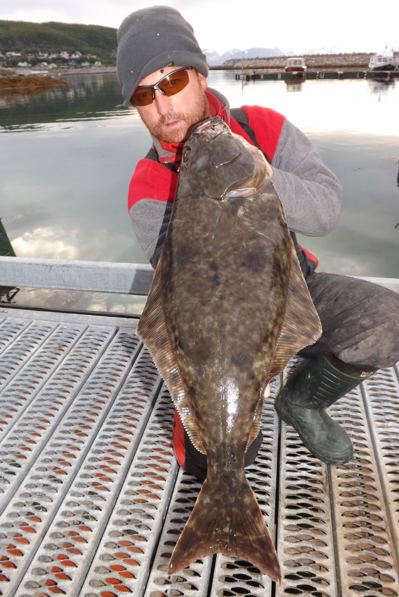 Fishing In Ireland Angling Ireland Salt Water Fish ID Halibut