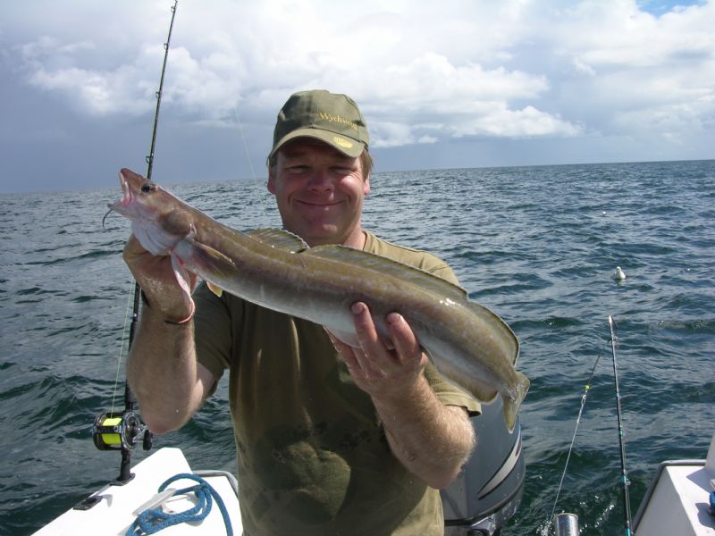 Fishing In Ireland Angling Ireland Salt Water Fish ID Ling