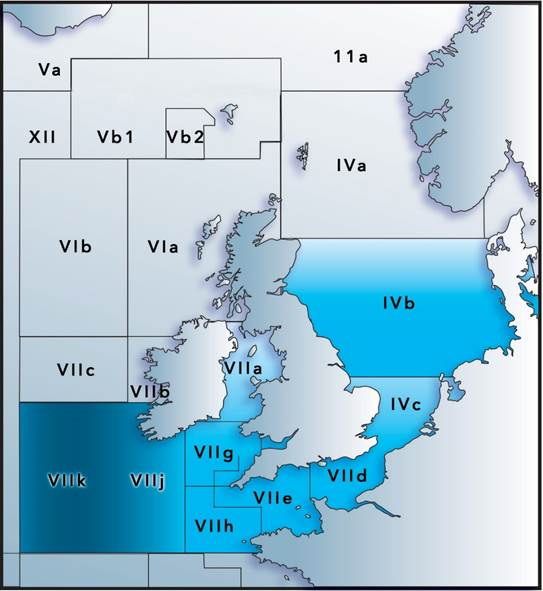 bass regulations in Ireland, recreational bass fishery, bass limits