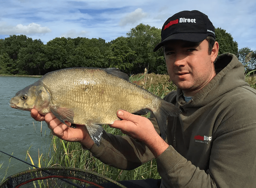 How to Catch Bream; Bait, Tackle, Rigs Beginner's Guide