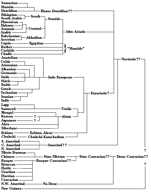 The Root of All Human Languages - angmohdan.com