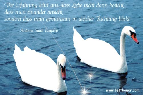 Die Erfahrung lehrt uns, dass Liebe nicht darin besteht, dass man