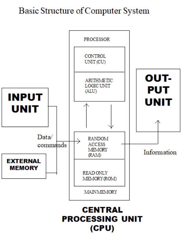 Basics of Computer Best Computer Institute
