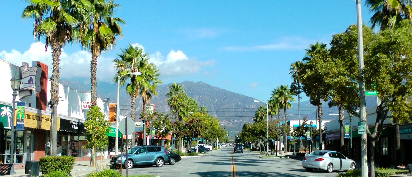 Arcadia LA Ani Limo Service Los Angeles