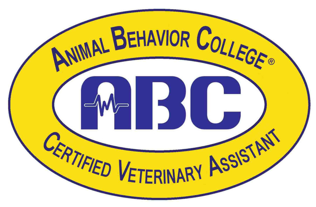 Certified Veterinary Assistant Training Program Animal Behavior College