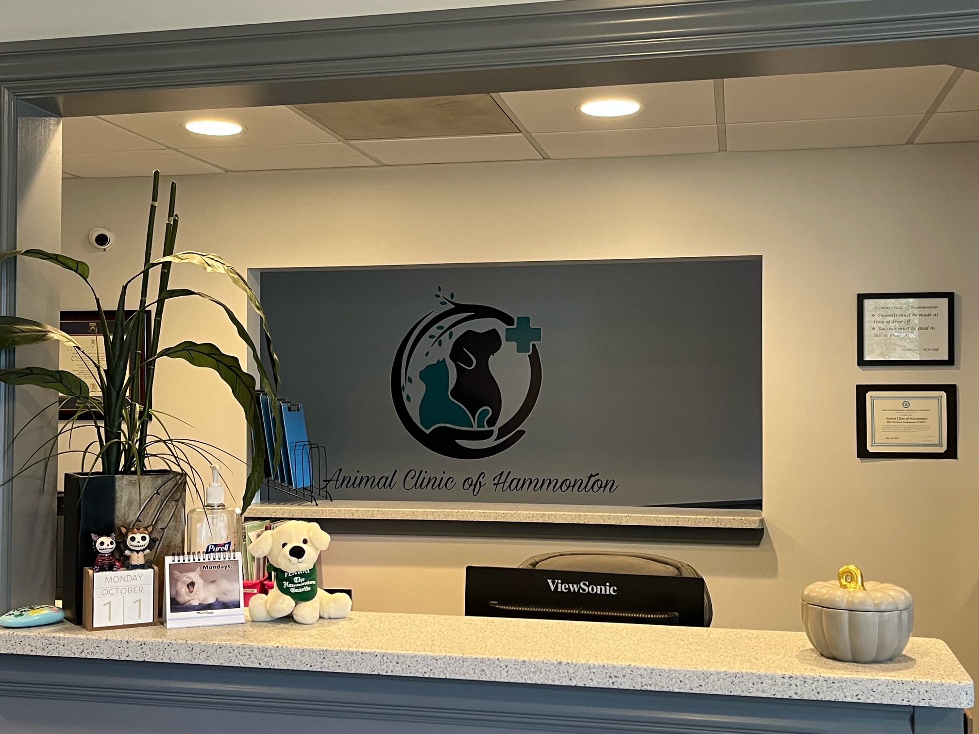 CheckIn Animal Clinic of Hammonton