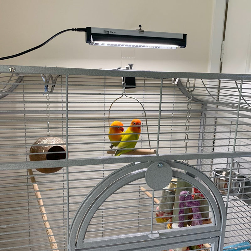 Arcadia PureSun Bird Lamp Kit Mini 8W ANIMAL MAIS