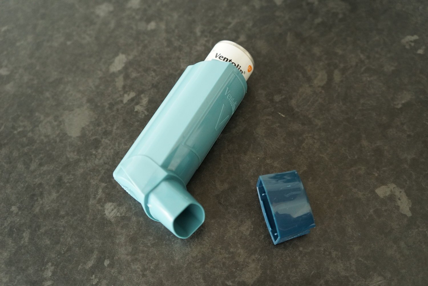 Asthma inhalers in dogs » Animal