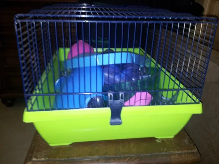 Cage hamster prix Maroc