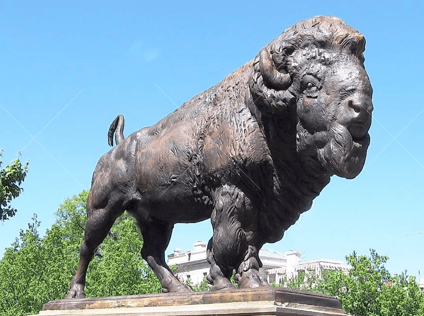 Large Popular Garden Decoration Bronze Bison Statue Animal Sculptures