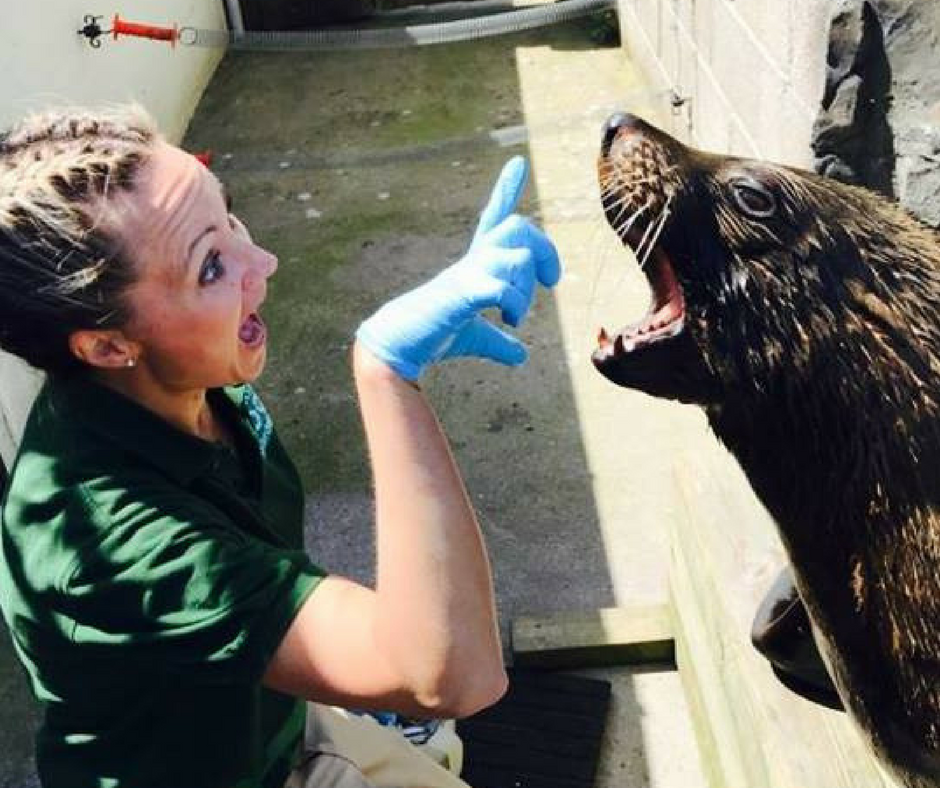 Copy of Copy of Membership 2021 Animal Training Academy