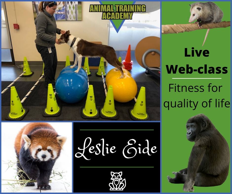 Fitness for quality of life [Leslie Eide] Animal