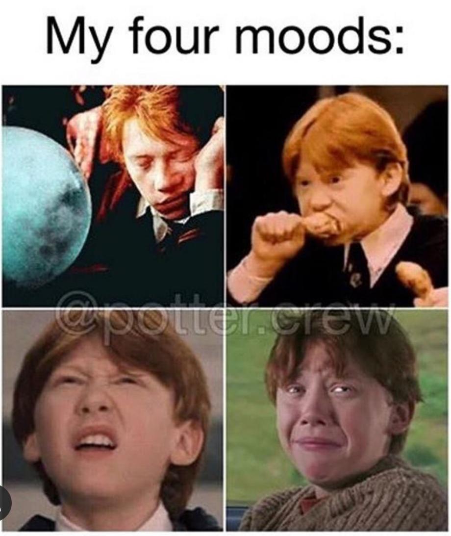 Harry Potter 10 Ron Weasley Memes That Potterheads Will Love