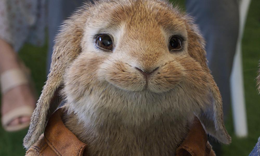 Pandemic Delays 'Mulan,' 'New Mutants,' 'Peter Rabbit 2