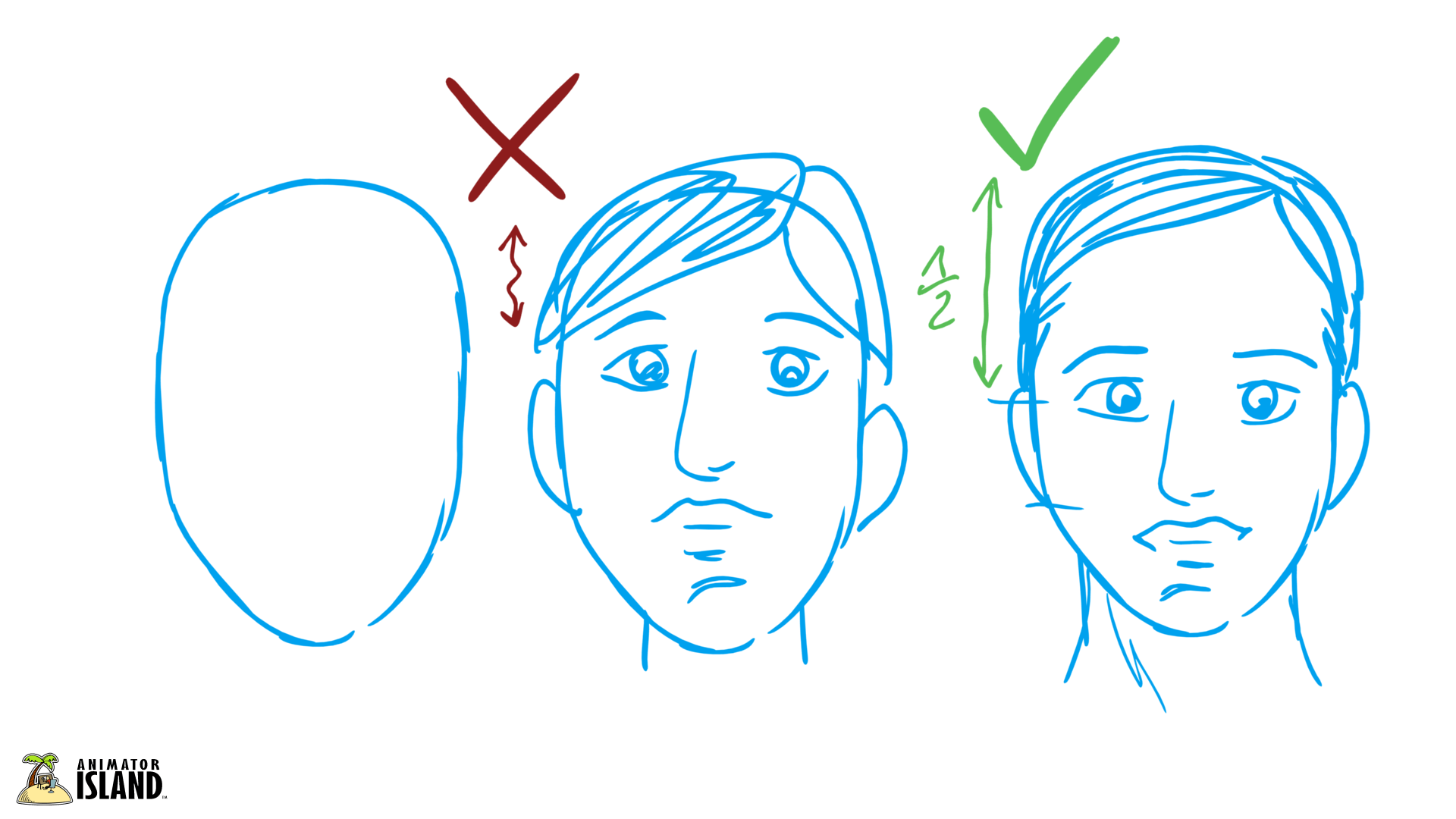 7 Tips For Drawing Realistic Humans Animator Island