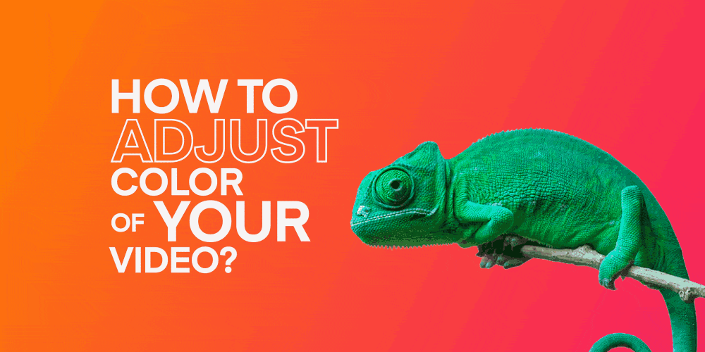 How to Adjust the Color of your Video in Windows 10/11 ANIMOTICA Blog