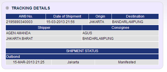 Arti Status Pengiriman di Tracking JNE Anisa AE
