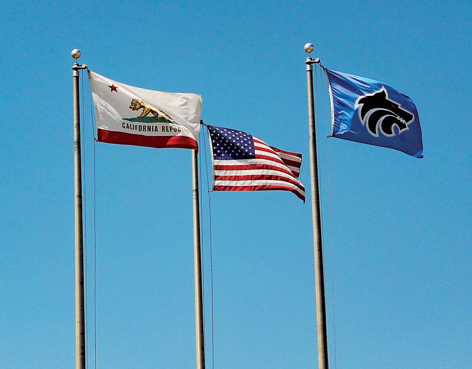 Custom Flag For Sale Residential & Commericial Use Anley Flags