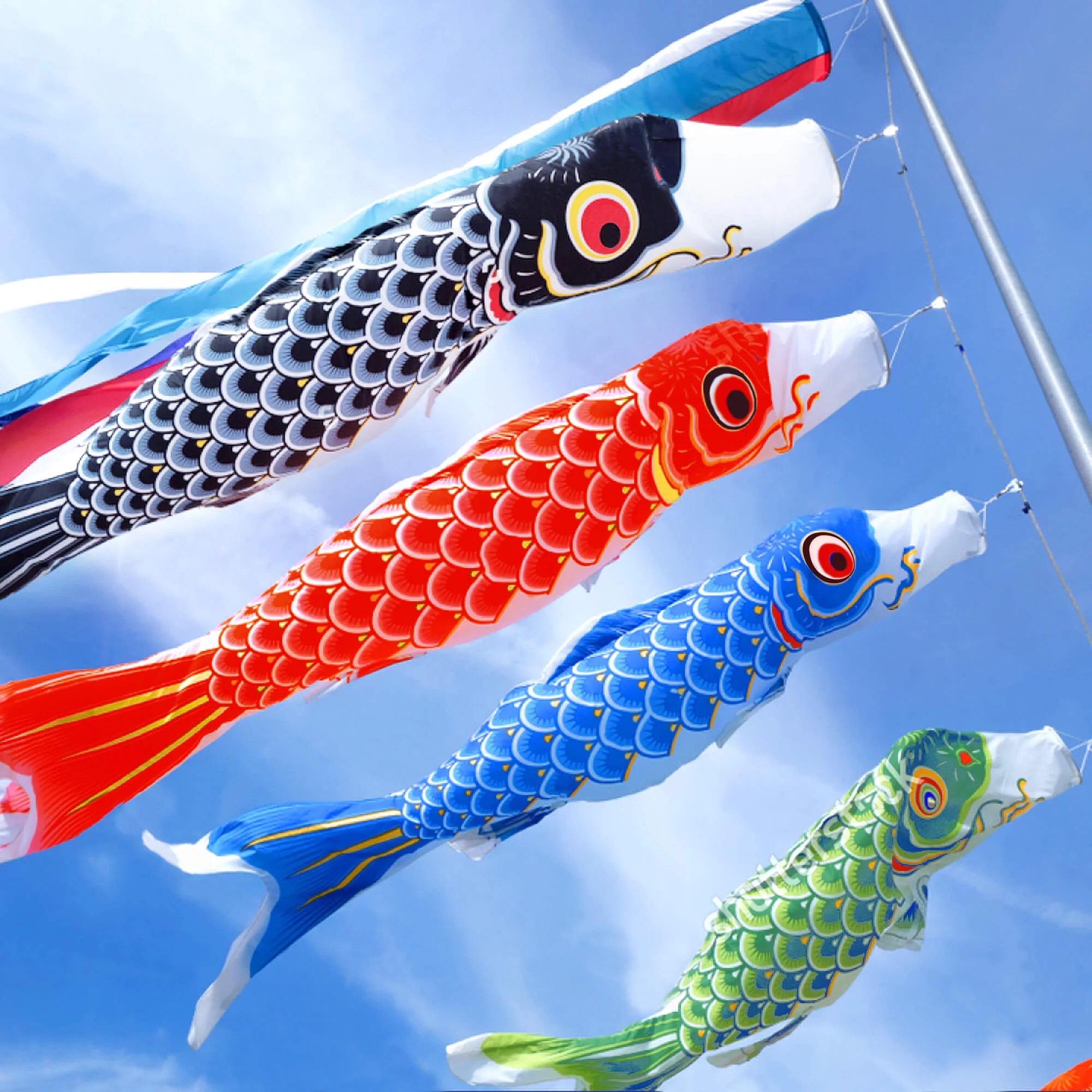 Anley 26 Inch Japan Koi Fish Flag Carp Windsock Streamer Anley Flags