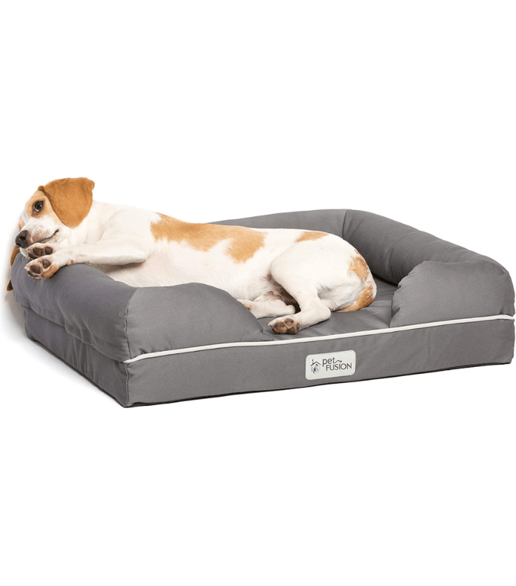 5 Best Dog Beds for French Bulldogs