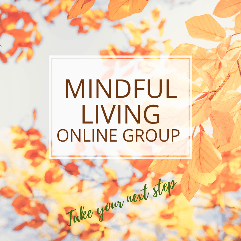Mindful Living Next Step Online Group · Annie B Kay