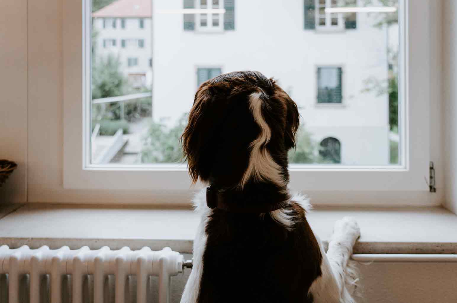 Choosing the Best Radiator For Your Home - AnnMarie John