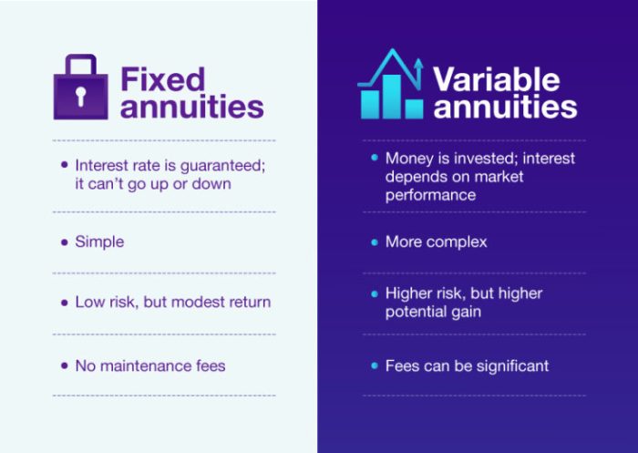 Variable Annuity Maturity Date 2024
