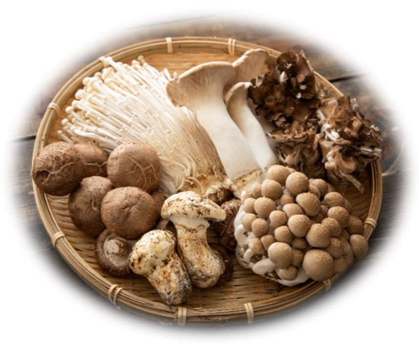 5 Foods to Boost Your Immune System