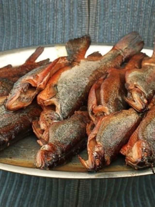 HOW TO SMOKE FISH STORY An Off Grid Life