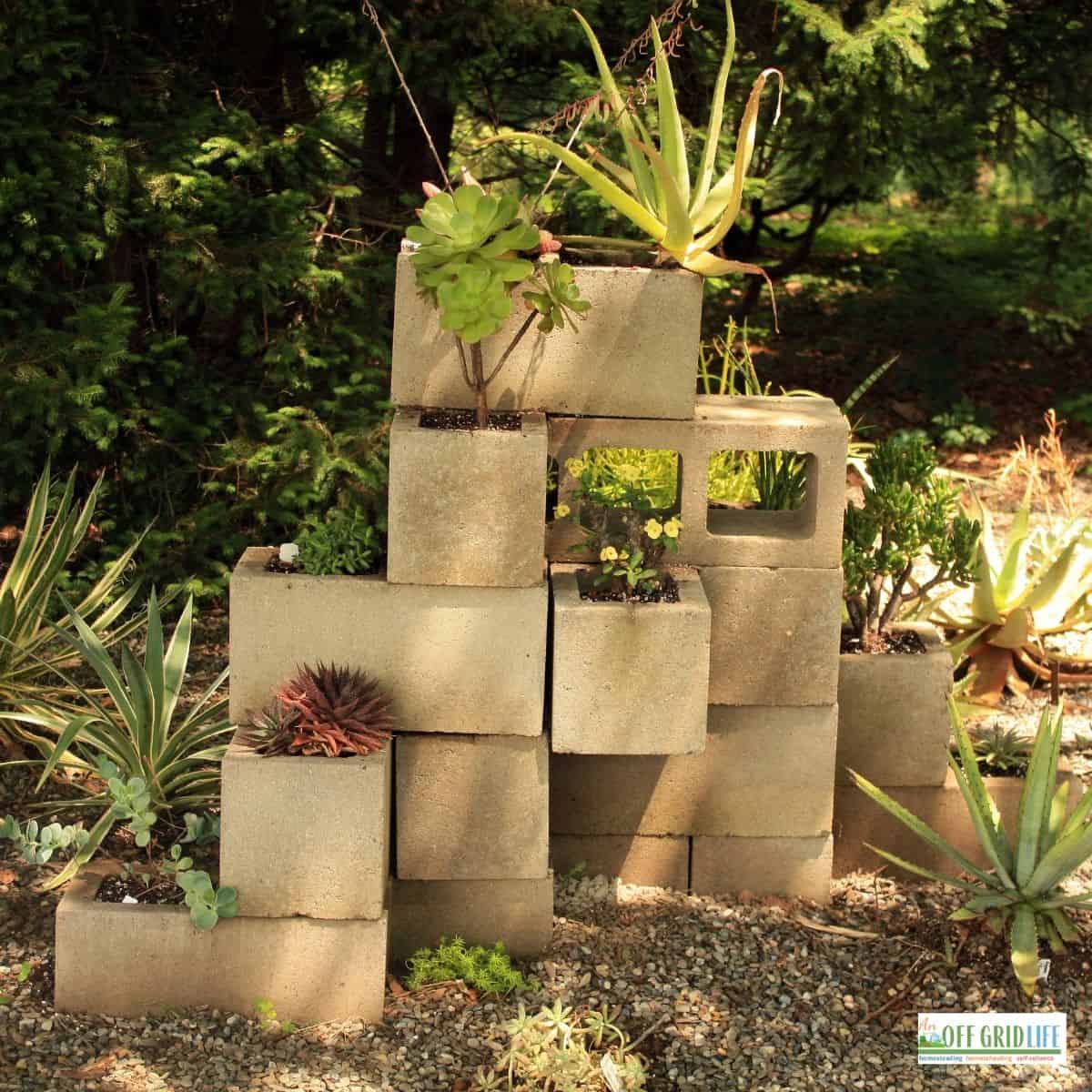 How To Build A Cinder Block Garden - An Off Grid Life