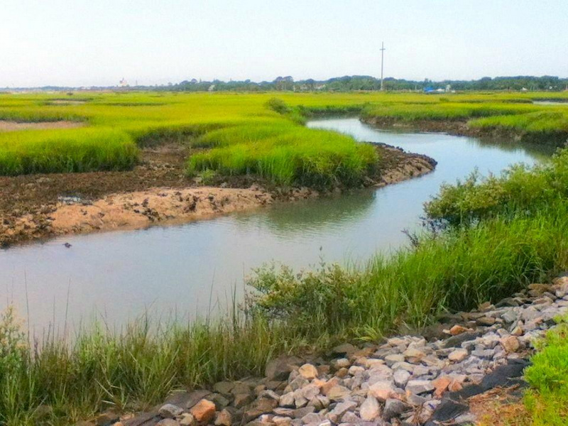Vilano Beach Boat Ramp St. Augustine Anonymous Society of Artists