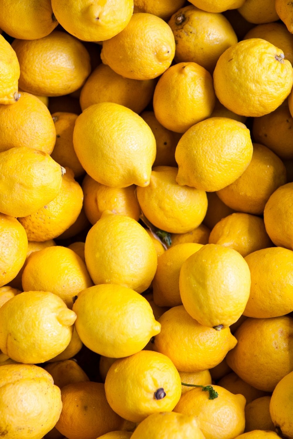 What Goes Well With Lemon? A Nourishing Plate