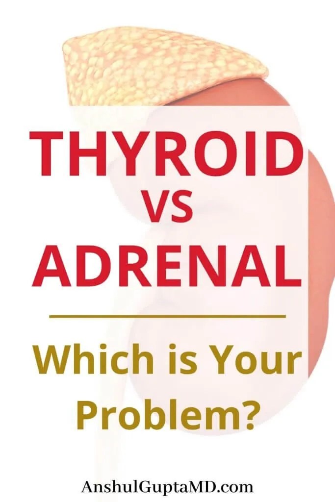 Heavy Metal Toxins Destroying Thyroid