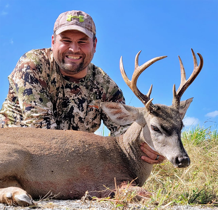 American Whitetail Deer