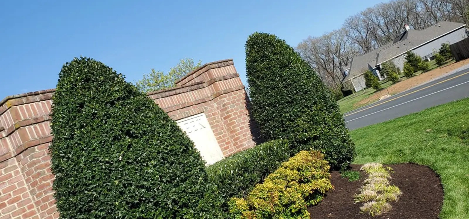 Landscaping Specialists in Westminster Contact Us Today!