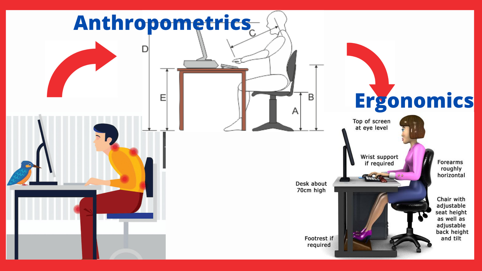 Ergonomics