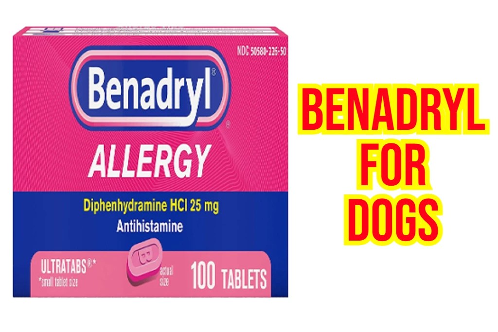 Does Benadryl Reduce Inflammation or Swelling In Dogs?