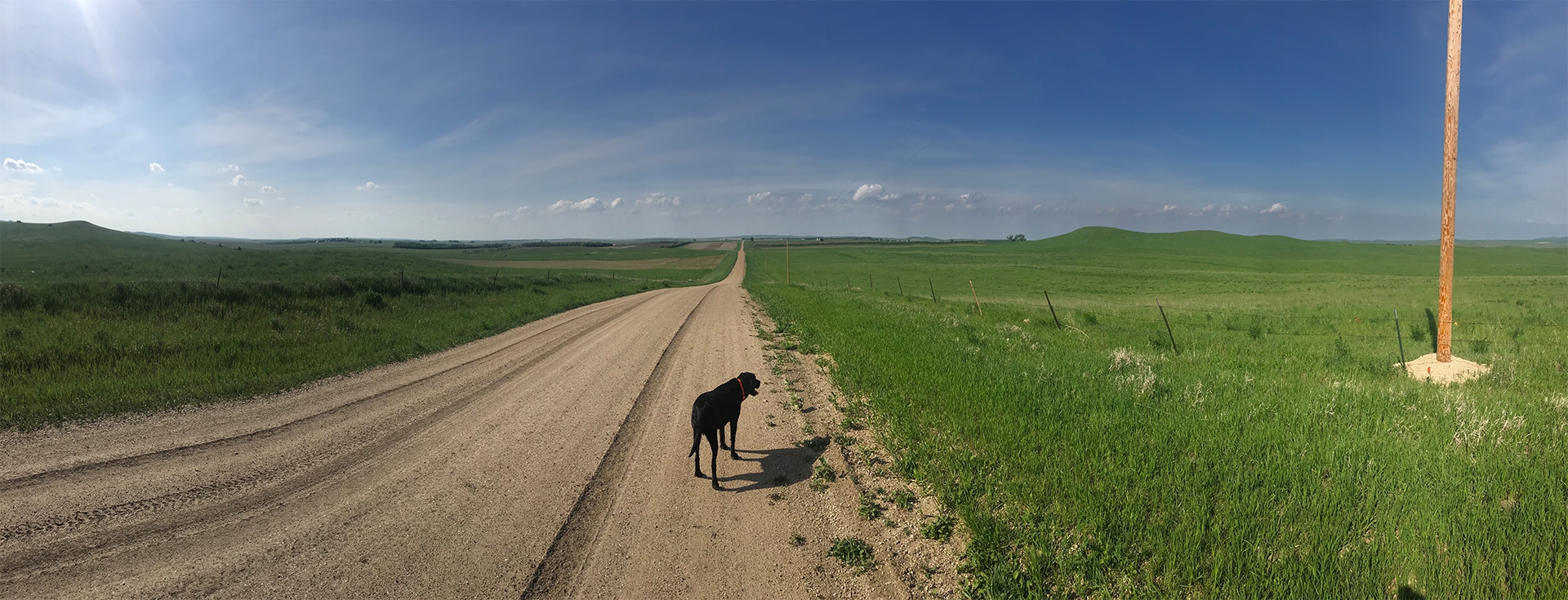 Antler Ridge Lodge South Dakota Pheasant Hunting Lodge