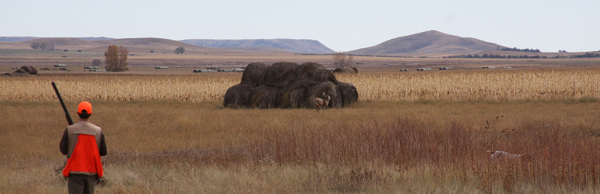 Antler Ridge Lodge Location near Hamill, Gregory & Winner SD