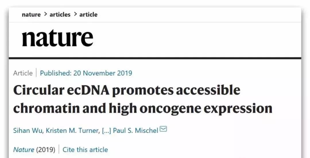 Nature重磅！染色体外DNA，是导致癌症恶变的罪魁！吴思涵等人首次揭秘！ 分析行业新闻