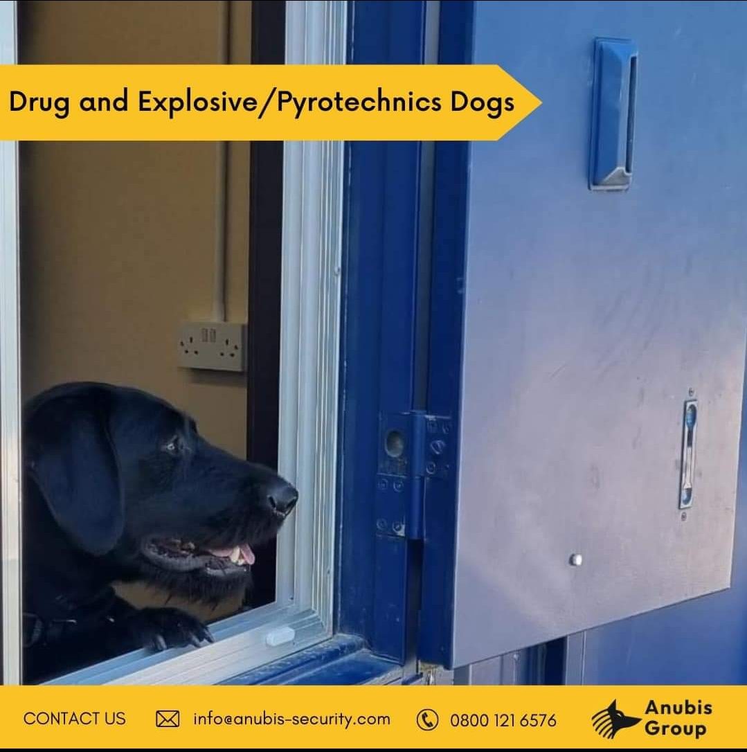 Drug and Explosive/Pyrotechnics Dogs Security Services UK Anubis Group